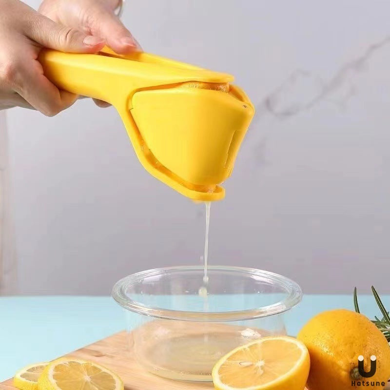Manual Citrus Juicer