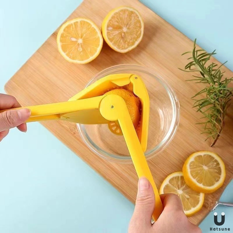 Manual Citrus Juicer