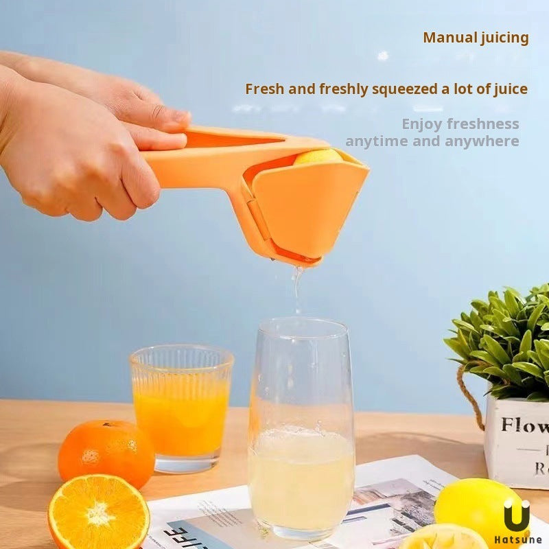 Manual Citrus Juicer